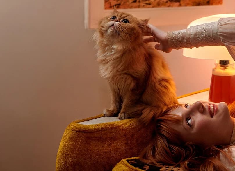 happy cat image
